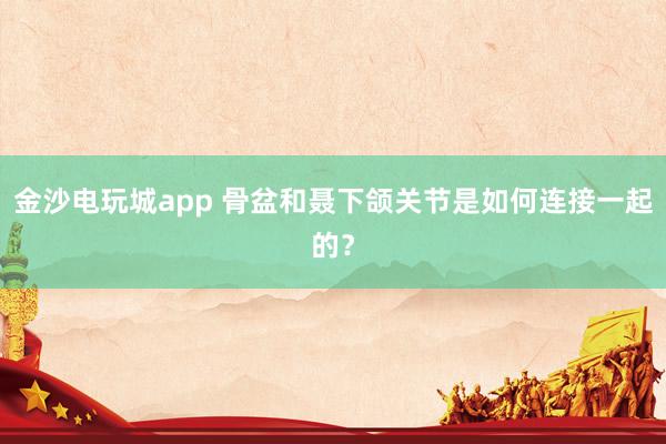 金沙電玩城app 骨盆和聶下頜關節是如何連接一起的?