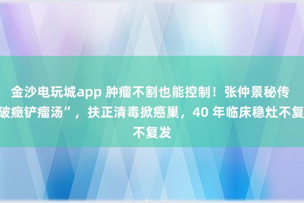 金沙電玩城app 腫瘤不割也能控制！張仲景秘傳 “破癥鏟瘤湯”，扶正清毒掀癌巢，40 年臨床穩(wěn)灶不復發(fā)