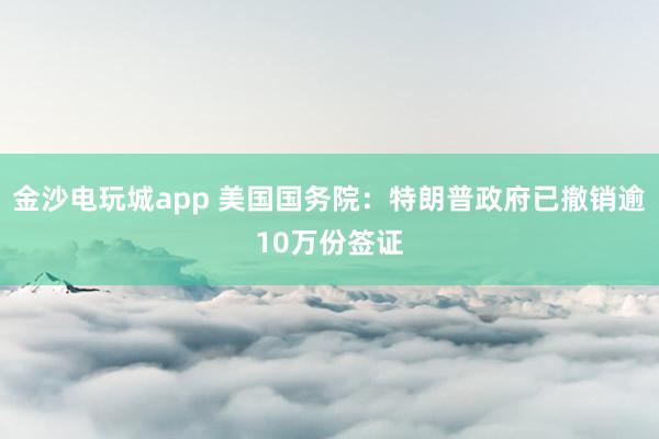 金沙電玩城app 美國國務院:特朗普政府已撤銷逾10萬份簽證
