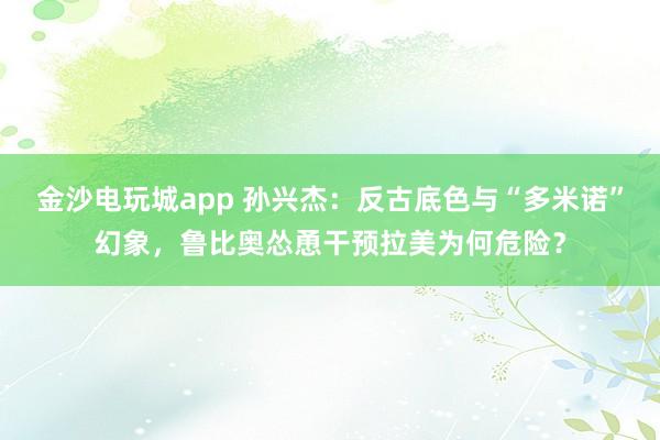 金沙電玩城app 孫興杰：反古底色與“多米諾”幻象，魯比奧慫恿干預拉美為何危險？