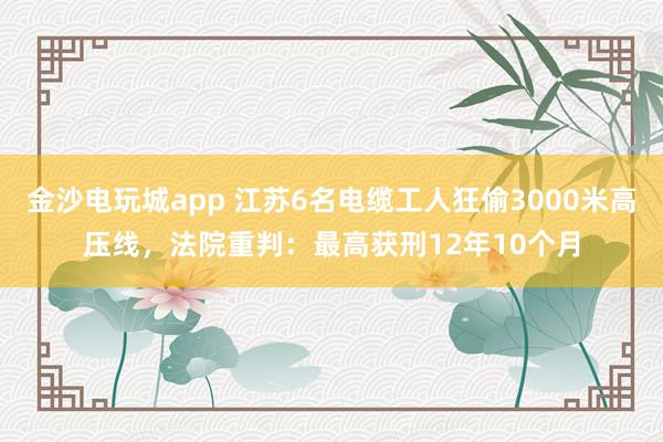 金沙電玩城app 江蘇6名電纜工人狂偷3000米高壓線，法院重判：最高獲刑12年10個月