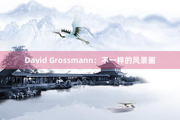 David Grossmann:不一樣的風景畫