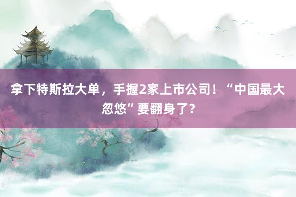 拿下特斯拉大單,手握2家上市公司!“中國最大忽悠”要翻身了?