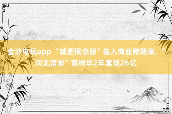 金沙電玩app “減肥概念股”卷入商業(yè)賄賂案, “河北富豪”高樹華2年套現(xiàn)26億