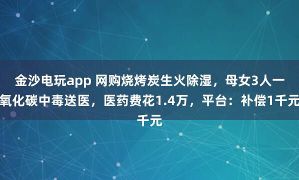 金沙電玩app 網購燒烤炭生火除濕,母女3人一氧化碳中毒送醫,醫藥費花1.4萬,平臺:補償1千元