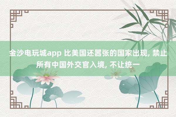 金沙電玩城app 比美國還囂張的國家出現(xiàn), 禁止所有中國外交官入境, 不讓統(tǒng)一