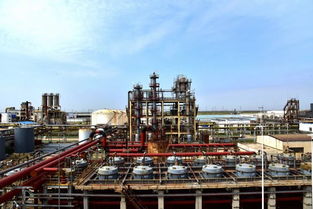 國內單套生產能力最大電解槽在聚隆化工試車成功